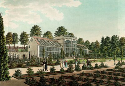 Greenhouse in the Old Botanical Garden in Göttingen, with the City Wall in the Background by Friedrich Besemann